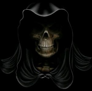 Meet your Posher, Jesse